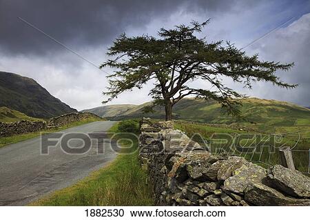 A Stone Fence Running Along A Road; Lake District, Cumbria, England View Large Photo Image Stock Image - A Stone Fence Running Along A Road; Lake District, Cumbria, England. Fotosearch