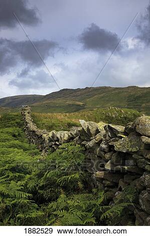A Stone Fence Through Fields; Lake District, Cumbria, England View Large Photo Image Stock Photo - A Stone Fence Through Fields; Lake District, Cumbria, England. Fotosearch