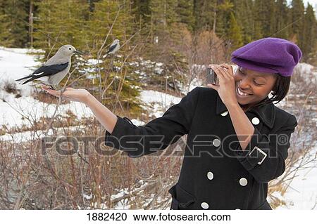 A Young Woman Holds A Bird In Her Hand And Takes A Picture With Her Camera; Lake Louise, Alberta, Canada View Large Photo Image Stock Image - A Young Woman Holds A Bird In Her Hand And Takes A Picture With Her Camera; Lake Louise, Alberta, Canada. Fotosearch
