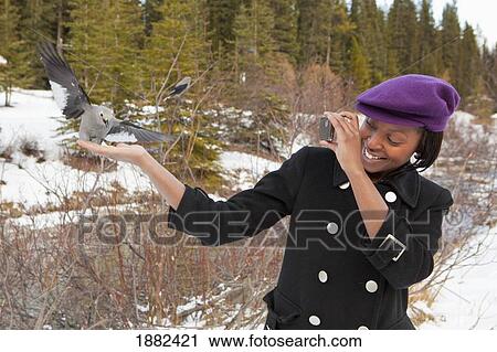 A Young Woman Holds A Bird In Her Hand And Takes A Picture With Her Camera; Lake Louise, Alberta, Canada View Large Photo Image Stock Image - A Young Woman Holds A Bird In Her Hand And Takes A Picture With Her Camera; Lake Louise, Alberta, Canada. Fotosearch