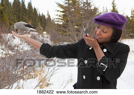 A Young Woman Holds A Bird In Her Hand And Takes A Picture With Her Camera; Lake Louise, Alberta, Canada View Large Photo Image Stock Image - A Young Woman Holds A Bird In Her Hand And Takes A Picture With Her Camera; Lake Louise, Alberta, Canada. Fotosearch