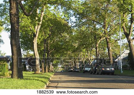 Stock Photo - Cars Parked Along A Residential Street; Edmonton, Alberta, Canada. Fotosearch