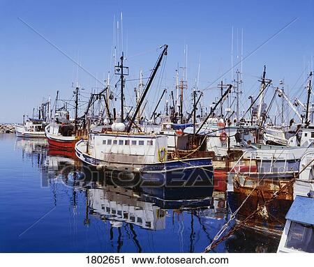 Fishing Boats In Harbor, Digby, Nova Scotia, Canada View Large Photo Image Stock Image - Fishing Boats In Harbor, Digby, Nova Scotia, Canada. Fotosearch