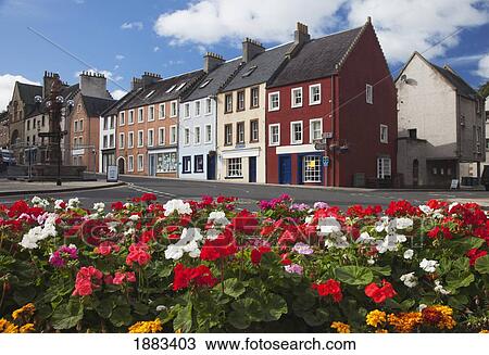 Flowers Along A Street In A Residential Area; Jedburgh, Scottish Borders, Scotland View Large Photo Image Stock Image - Flowers Along A Street In A Residential Area; Jedburgh, Scottish Borders, Scotland. Fotosearch