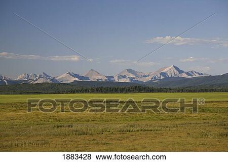 Stock Photo - Green Fields And Rolling Hills With Mountains In The Background; Alberta, Canada. Fotosearch