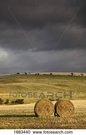 Hay Bales In A Field Under A Dark Cloudy Sky; Northumberland, England View Large Photo Image Stock Image - Hay Bales In A Field Under A Dark Cloudy Sky; Northumberland, England. Fotosearch