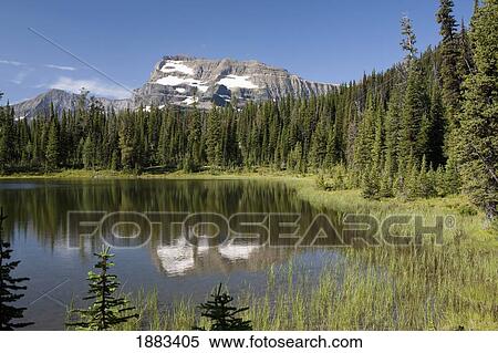 Mountain Peak Reflected In A Lake Along A Grassy Shoreline; Waterton, Alberta, Canada View Large Photo Image Stock Photography - Mountain Peak Reflected In A Lake Along A Grassy Shoreline; Waterton, Alberta, Canada. Fotosearch
