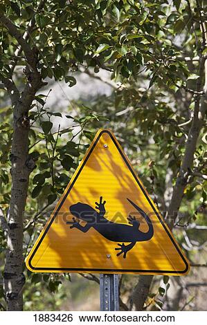 Stock Photograph - Road Sign With A Picture Of A Salamander And Trees Behind It; Waterton, Alberta, Canada. Fotosearch