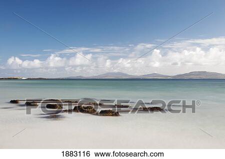 Seaweed On The Shore On Eilogarry Beach; Isle Of Barra, Scotland View Large Photo Image Stock Photograph - Seaweed On The Shore On Eilogarry Beach; Isle Of Barra, Scotland. Fotosearch