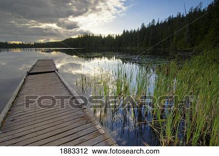 Sunset On A Small Lake; Vancouver Island, British Columbia, Canada View Large Photo Image Stock Image - Sunset On A Small Lake; Vancouver Island, British Columbia, Canada. Fotosearch