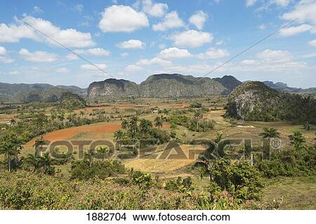 Viñales Valley In Sierra De Los Organos; Viñales, Cuba View Large Photo Image Picture - Viñales Valley In Sierra De Los Organos; Viñales, Cuba. Fotosearch