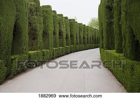 Walkway Lined With Trees And Shrubs At Alhambra; Granada, Andalusia, Spain View Large Photo Image Stock Photo - Walkway Lined With Trees And Shrubs At Alhambra; Granada, Andalusia, Spain. Fotosearch