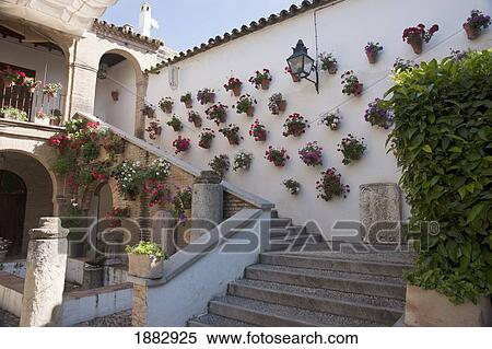 Wall Of Potted Plants At Cathedral Of Our Lady Of The Assumption; Cordoba, Spain View Large Photo Image Stock Photography - Wall Of Potted Plants At Cathedral Of Our Lady Of The Assumption; Cordoba, Spain. Fotosearch