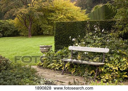 a bench on a stone walkway surrounded by lush foliage; northumberland, england View Large Photo Image Stock Photo - a bench on a stone walkway surrounded by lush foliage; northumberland, england. Fotosearch