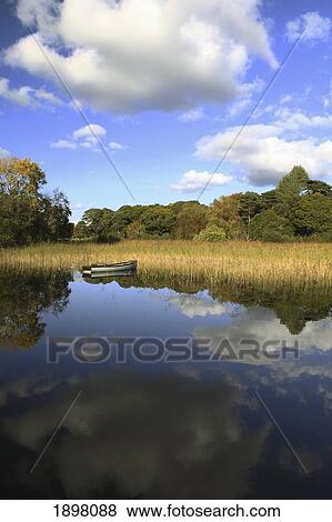 a boat sitting in the water along the tall grass in killarney national park in munster region; county kerry, ireland View Large Photo Image Stock Photo - a boat sitting in the water along the tall grass in killarney national park in munster region; county kerry, ireland. Fotosearch