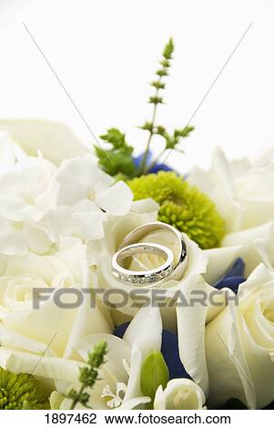 a bouquet of white roses with two wedding bands placed on top; portland, oregon, united states of america View Large Photo Image Stock Image - a bouquet of white roses with two wedding bands placed on top; portland, oregon, united states of america. Fotosearch