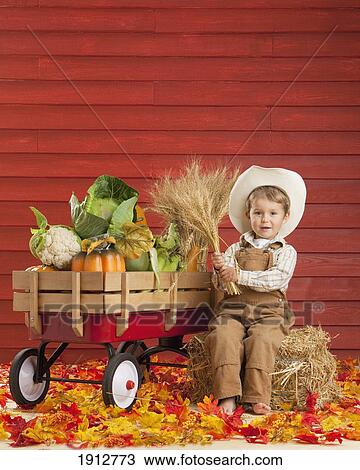 a boy dressed as a farmer with a wagon full of produce; three hills, alberta, canada View Large Photo Image Stock Image - a boy dressed as a farmer with a wagon full of produce; three hills, alberta, canada. Fotosearch