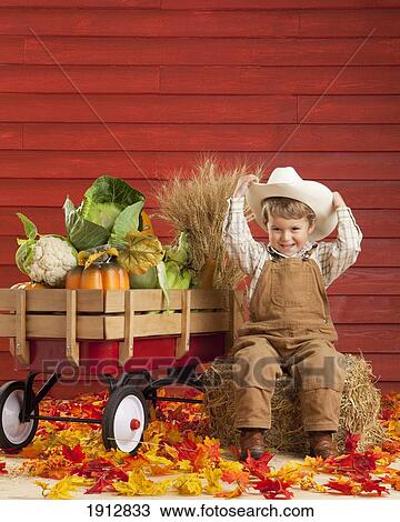 a boy dressed as a farmer with a wagon full of produce; three hills, alberta, canada View Large Photo Image Stock Image - a boy dressed as a farmer with a wagon full of produce; three hills, alberta, canada. Fotosearch