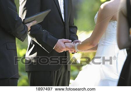 a bride and groom holding hands during their ceremony; troutdale, oregon, united states of america View Large Photo Image Stock Photo - a bride and groom holding hands during their ceremony; troutdale, oregon, united states of america. Fotosearch