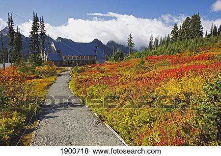 Stock Photo - a building at the end of a trail looking over the tatoosh mountains with autumn colors in mt. rainier national park; washington, united states of america. Fotosearch