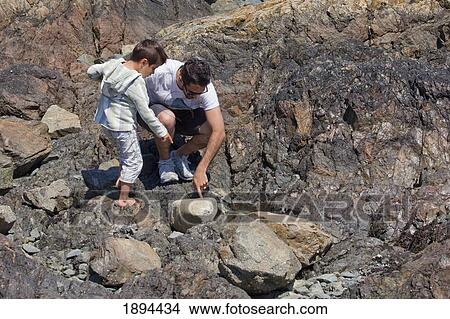 a father and son explore along the rocks; victoria, british columbia, canada View Large Photo Image Picture - a father and son explore along the rocks; victoria, british columbia, canada. Fotosearch