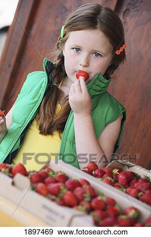 a girl eating a strawberry beside boxes of strawberries; troutdale, oregon, united states of america View Large Photo Image Stock Photo - a girl eating a strawberry beside boxes of strawberries; troutdale, oregon, united states of america. Fotosearch