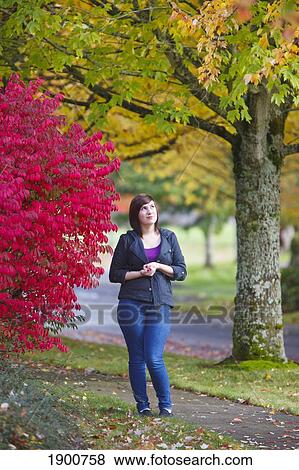 a girl walking along a trail in autumn; portland, oregon, united states of america View Large Photo Image Stock Photo - a girl walking along a trail in autumn; portland, oregon, united states of america. Fotosearch
