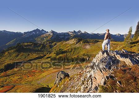 Stock Photography - a hiker looking at the tatoosh mountains in mt. rainier national park in autumn; washington, united states of america. Fotosearch
