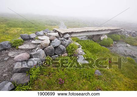 a hiking trail in the fog with a bridge over a stream in paradise park in mt. rainier national park; washington, united states of america View Large Photo Image Stock Photo - a hiking trail in the fog with a bridge over a stream in paradise park in mt. rainier national park; washington, united states of america. Fotosearch