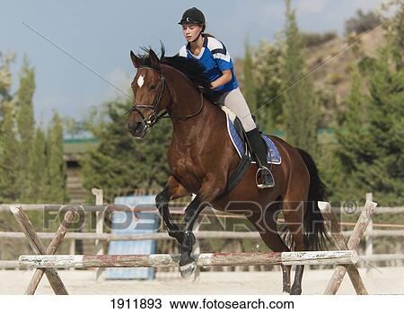 a horse does jumps with a female rider; benalamadena costa, malaga, costa del sol, andalusia, spain View Large Photo Image Stock Image - a horse does jumps with a female rider; benalamadena costa, malaga, costa del sol, andalusia, spain. Fotosearch