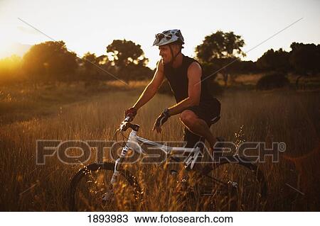 a man riding his bike through tall grass at sunset in parque natural los alcornocales; tarifa, cadiz, andalusia, spain View Large Photo Image Stock Image - a man riding his bike through tall grass at sunset in parque natural los alcornocales; tarifa, cadiz, andalusia, spain. Fotosearch