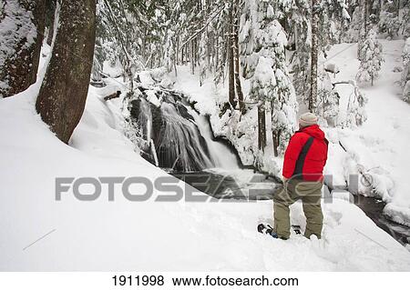 a person wearing snowshoes stands in snow looking at zigzag falls in mt. hood national forest; oregon, united states of america View Large Photo Image Stock Photo - a person wearing snowshoes stands in snow looking at zigzag falls in mt. hood national forest; oregon, united states of america. Fotosearch