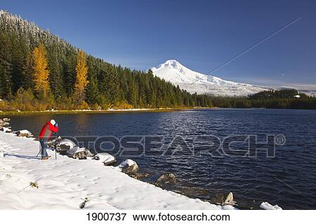 a photographer uses a camera on a tripod to capture mount hood and trillium lake; oregon, united states of america View Large Photo Image Stock Photo - a photographer uses a camera on a tripod to capture mount hood and trillium lake; oregon, united states of america. Fotosearch