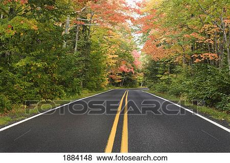 a road lined with trees in autumn; michigan, united states of america View Large Photo Image Stock Photo - a road lined with trees in autumn; michigan, united states of america. Fotosearch