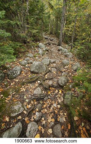 Stock Image - a rocky path through a forest in autumn; ontario, canada. Fotosearch