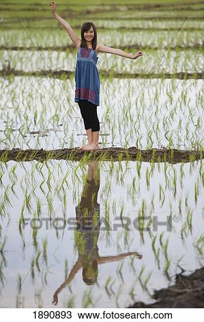 a teenage girl standing in a rice field; chiang mai, thailand View Large Photo Image Stock Image - a teenage girl standing in a rice field; chiang mai, thailand. Fotosearch