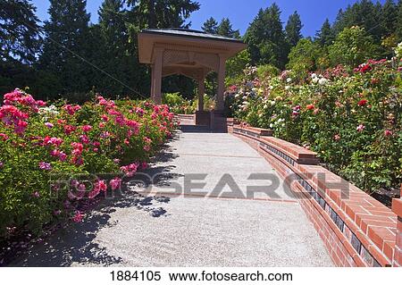 Stock Photography - a trail and gazebo at the portland rose garden; portland, oregon, united states of america. Fotosearch