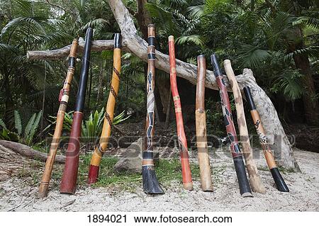 a variety of didgeridoo lined up and leaning against a tree branch; queensland, australia View Large Photo Image Stock Image - a variety of didgeridoo lined up and leaning against a tree branch; queensland, australia. Fotosearch