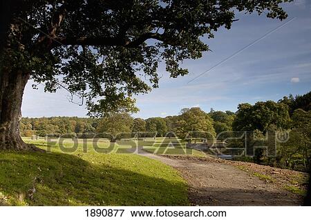 Stock Photo - a walking path along the water in a park area; northumberland, england. Fotosearch