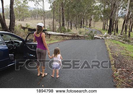 a woman and young girl outside their vehicle on the road that is blocked by a fallen tree; gold coast, queensland, australia View Large Photo Image Stock Photo - a woman and young girl outside their vehicle on the road that is blocked by a fallen tree; gold coast, queensland, australia. Fotosearch