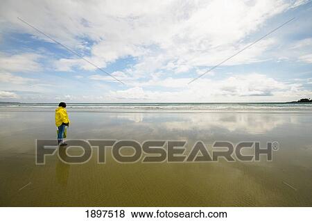 a woman in a raincoat looking out at the ocean while standing on the beach; tofino, british columbia, canada View Large Photo Image Stock Photo - a woman in a raincoat looking out at the ocean while standing on the beach; tofino, british columbia, canada. Fotosearch