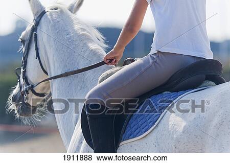 a woman riding a white horse; benalamadena costa, malaga, costa del sol, andalusia, spain View Large Photo Image Stock Photo - a woman riding a white horse; benalamadena costa, malaga, costa del sol, andalusia, spain. Fotosearch