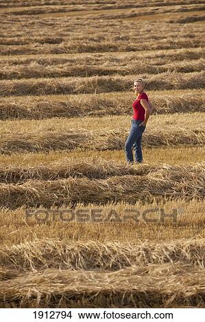 a woman stands in a harvested wheat field; three hills, alberta, canada View Large Photo Image Picture - a woman stands in a harvested wheat field; three hills, alberta, canada. Fotosearch