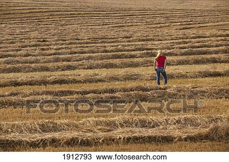 Stock Image - a woman stands in a harvested wheat field; three hills, alberta, canada. Fotosearch