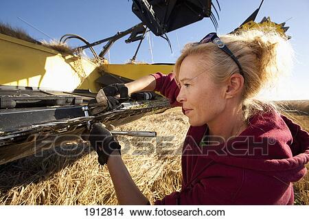 a woman works on a combine in a wheat field; three hills, alberta, canada View Large Photo Image Picture - a woman works on a combine in a wheat field; three hills, alberta, canada. Fotosearch