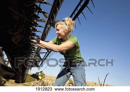 a woman works on a combine in a wheat field; three hills, alberta, canada View Large Photo Image Stock Image - a woman works on a combine in a wheat field; three hills, alberta, canada. Fotosearch