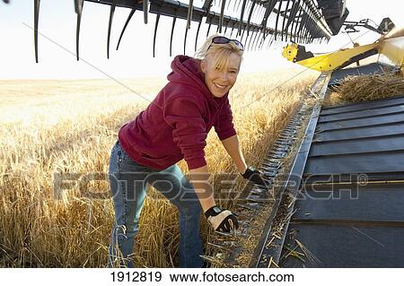 a woman works on a combine in a wheat field; three hills, alberta, canada View Large Photo Image Stock Photo - a woman works on a combine in a wheat field; three hills, alberta, canada. Fotosearch