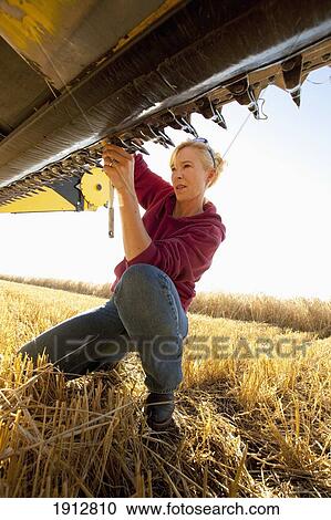 a woman works on her farm equipment; three hills, alberta, canada View Large Photo Image Stock Image - a woman works on her farm equipment; three hills, alberta, canada. Fotosearch