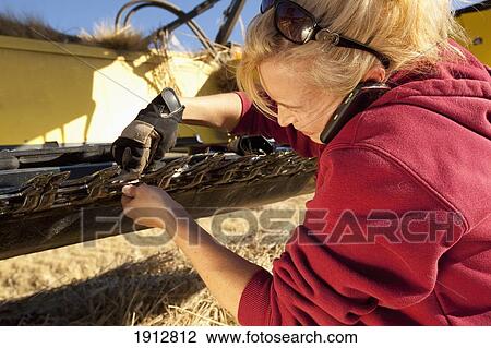 a woman works on her farm equipment while talking on her cell phone; three hills, alberta, canada View Large Photo Image Stock Image - a woman works on her farm equipment while talking on her cell phone; three hills, alberta, canada. Fotosearch