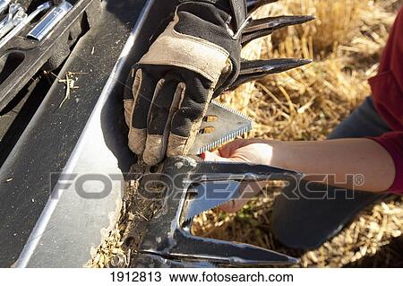 a woman works on her farm equipment; three hills, alberta, canada View Large Photo Image Stock Image - a woman works on her farm equipment; three hills, alberta, canada. Fotosearch